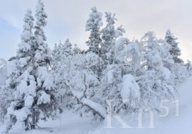 В Мурманской области похолодает до минус 34 градусов Цельсия