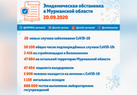 В Мурманской области выявили 28 новых случаев заболевания CoViD-19