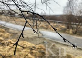 В Мурманской области похолодает