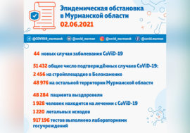 Коронавирус в Мурманской области: еще 44 заболевших