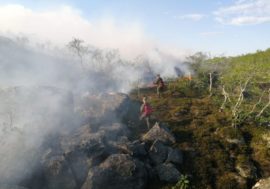 Военные помогли ликвидировать лесной пожар в Печенгском округе
