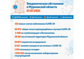 В Кольском Заполярье коронавирус подтвердился еще у 252 человек