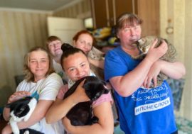 Команда «Котэ»: в Мончегорске волонтеры ищут дом для кошек