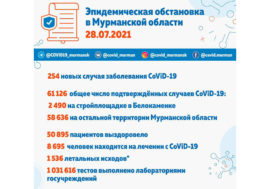Коронавирус в Мурманской области: еще 254 заболевших