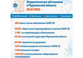 Еще у 260 человек в Мурманской области подтвердился коронавирус