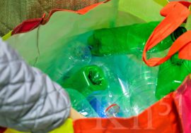 Экоавгуст: акция по сбору пластика продолжается в Никеле