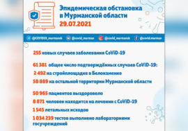 255 новых случаев заболевания CoViD-19 зафиксировали в Мурманской области