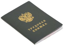 Трудовые книжки нового образца начнут использоваться в России с 2023 года