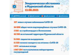 В Мурманской области выявлено 217 новых случаев заболевания CoViD-19