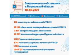 Коронавирус в Мурманской области: еще 232 заболевших