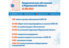В Кольском Заполярье еще 220 заболевших CoViD-19