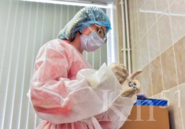 Роспотребнадзор по Мурманской области ужесточил требования к обязательной вакцинации работников