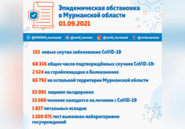 В Мурманской области выявлено 153 новых случая заболевания CoViD-19