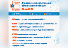 CoViD-19 в Мурманской области: еще 228 заболевших