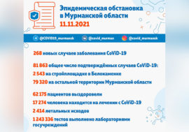 В Мурманской области 268 новых случаев заболевания CoViD-19