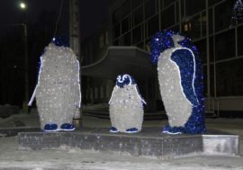 Мончегорские пингвины