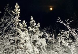 «Моя новогодняя песня»: Зимняя сказка о луне
