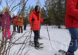 Арктическая лаборатория туризма прибыла в Никель