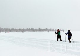 «Лыжня зовет»: пройденные километры подсчитают