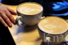 Производство лакомств для животных и мобильную кофейню откроют в Мончегорске