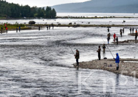 В Мурманской области открывается сезон ловли семги