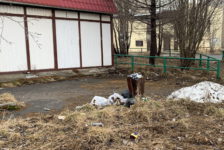 В России работает онлайн-гид по борьбе с мусором
