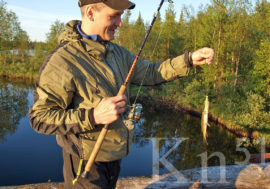 Лицензионная семужья рыбалка открыта на Титовке и Печенге