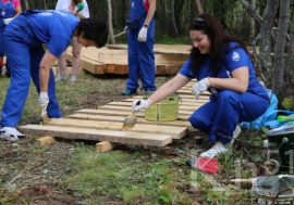 Волонтеры помогают в обустройстве экотропы в «Пасвике»