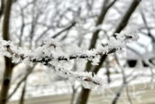 Синоптики обещают небольшой снег и изморозь