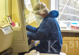 В Мурманской области обнаружен заболевший свиным гриппом