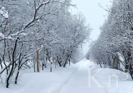 Календарная зима придет в Мурманскую область с морозами