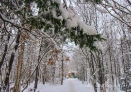 В Мурманской области 16 декабря – снегопад и гололедица