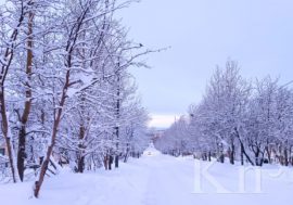 В Мурманской области продолжает холодать