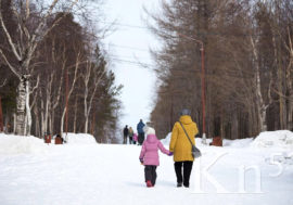 В Мурманской области стало меньше детей-сирот и детских домов
