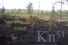 В Мурманской области ликвидировали 7 природных пожаров