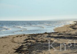 Первый арктический пляж появился в Мурманской области