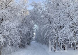 Из-за мороза в школах Печенгского округа отменены занятия