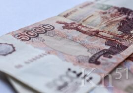 В Мурманской области стали реже выявлять фальшивые банкноты