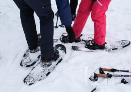 Юные северяне бежали на лыжах и снегоступах