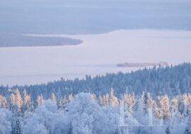 Вопросами Арктики займется новый филиал «ВНИИ Экология» Минприроды России