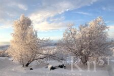 Снежная погода не покидает Мурманскую область