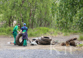 В Мурманской области пройдет более 100 мероприятий экологической направленности