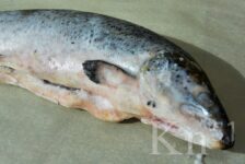 В Мурманской области будут судить рыбаков-браконьеров