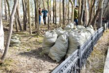 В Мурманской области усилят контроль за уборкой территорий