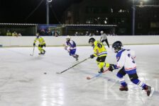 Юные никельские хоккеисты – призеры областных соревнований